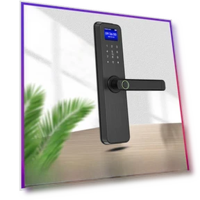 Smart Lock for Wooden Door — Biometric Security, VividTrove