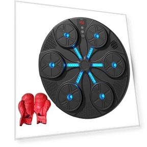 Smart Musical Boxing Trainer with Gloves — Boxing Training Gear, Build My Home