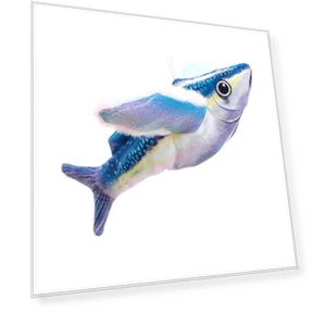 Interactive Flapping Wings Cat Toy with Sound — Cat Playthings, yangyizhi