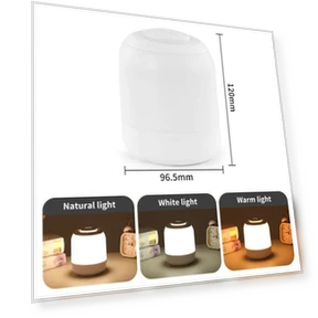 LED Touch Night Light Table Lamp — Desk & Table Lighting, Modern Home Furnishing