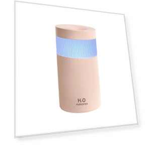 Mini Portable USB Humidifier with Mist Spray and LED Light — Air Moisturizers, Darling Women Boutique