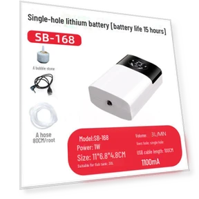 Silent Dual-Purpose Oxygen Pump — Air Pumps, WoW Home