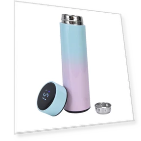 Smart Water Bottle with LED Display — Hydration Essentials, Fishine