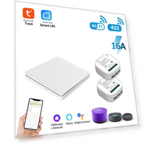 WiFi Smart Switch 16A 433MHz — Dimmer Switches, Modern Home Furnishing