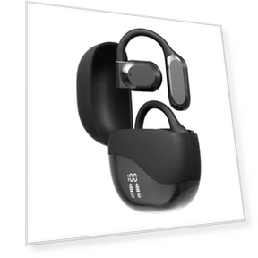 Bluetooth Smart Translator Earbuds — Phone Accessories, Wrigleys