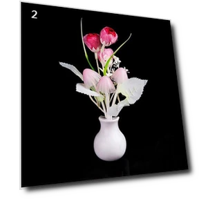 Colorful Touch Sensor LED Night Light — Night Lights, MIT