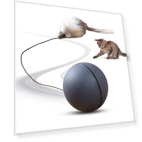 Electric Cat Toy Ball — Cat Playthings, mujin