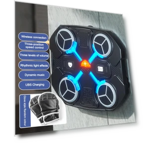 Intelligent Musical Boxing Machine — Boxing Training Gear, HOME-Auto-001