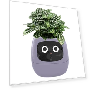 Smart Plant Pot — Controllers, Good Household Items