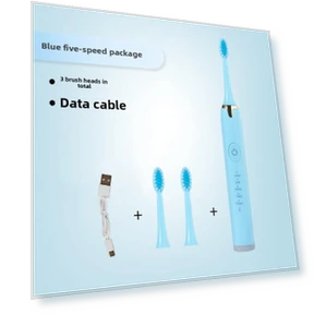 Smart Sonic Toothbrush — Electric Toothbrush Heads, Binchi Health Technology