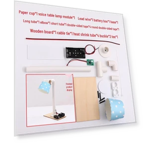 Smart Voice Table Lamp Kit — Science Kits, Super Go