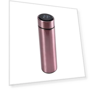 Smart Water Bottle with Temperature Display — Travel Drinkware, Darling Home