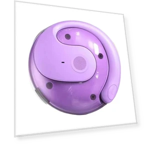 Wireless Earbuds with AI Translation — Receivers & Adapters, Wrigleys