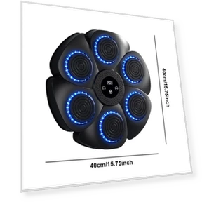 Smart Musical Boxing Trainer — Boxing Training Gear, Mind Garden