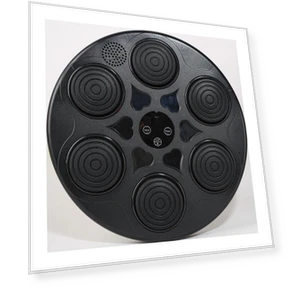 Smart Training Music Boxing Wall Target Trainer — Home Gyms, Binchi Outdoor Equipment
