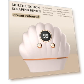 Electric Gua Sha Board with Red Light and Vibration — Facial Steamers, BC Pet Supplies