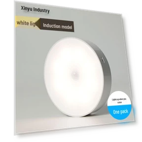 LED Night Light with Voice Control and Motion Sensor — Night Lights, AI Supermarket