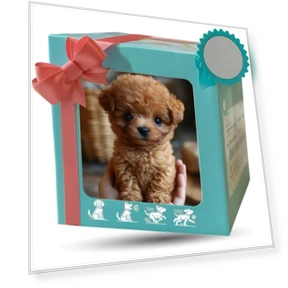 Plush robotic dog with wagging tail — Interactive, Lianchuang