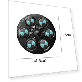 Smart Music Boxing Trainer with Gloves — Boxing Training Gear, Binchi Keji Travel