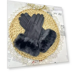 Women's Touchscreen Leather Gloves — Gloves & Mittens, Female s