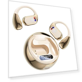 AI Language Translator Earbuds — Language Translators, Wrigleys