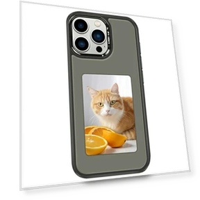 E-Ink Case with 4-Inch HD Screen — Display Shields, Smartwatch 2025