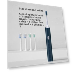 Electric Toothbrush for Adults — Electric Toothbrush Heads, Binchi Health Technology