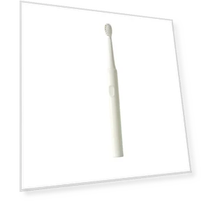 Electric Toothbrush — Electric Toothbrush Heads, Binchi Health Technology