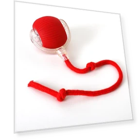 Interactive Cat Toy — Cat Playthings, Family Circle