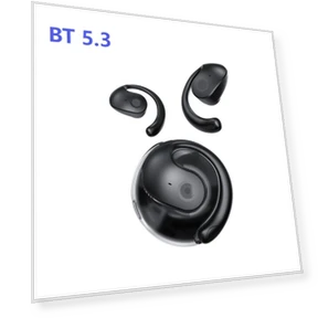 Language Translation Headphones — Language Translators, Good Household Items