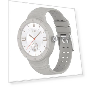 Silicone Strap with Protective Case — Smartwatches, Heroland