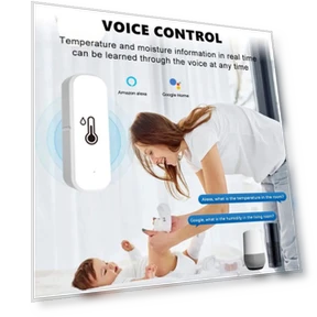 Smart WIFI Temperature and Humidity Sensor — , Holland Pia