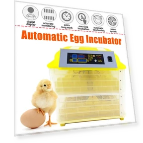 Egg Incubator — Bases, Pro DIY Tool