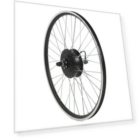 Electric Bike Conversion Kit with Rear Drive Motor — Motors, Igeteck