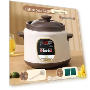 Fully Automatic Multifunctional Electric Multicooker — Foam, TrendVibeCN
