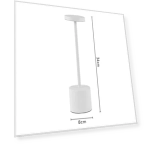 Rechargeable LED Desk Lamp — Book Lights, CGE