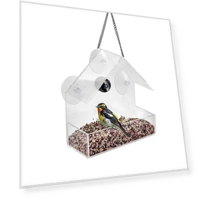 Smart Bird Feeder with Camera — Cameras & Monitors, Sole Street