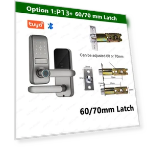 Smart Lock — Smart Home Security, RAYKUBE