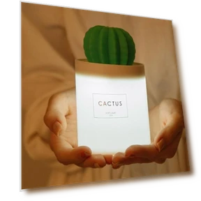 Cactus Mini Anion Air Humidifier — Air Moisturizers, YuTao