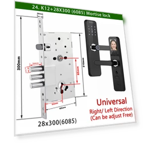 Electronic Lock with 3D Face Recognition — Smart Home Security, RAYKUBE