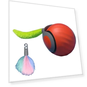 Interactive Cat Ball with Tail — Cat Playthings, Sole Street