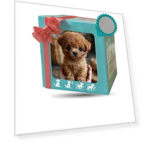 Robot Dog Toy — Interactive Figures & Robots, hayatospeed