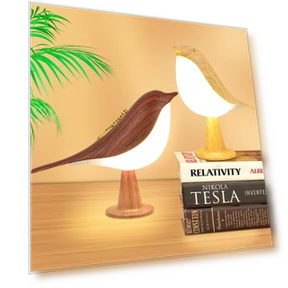 Small Cordless Bedside Lamp with Touch Sensor and Aroma Diffuser — Foam, BC Pet Supplies