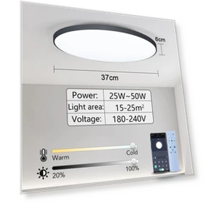 Smart LED Ceiling Light — Lighting Solutions, BXHOOM