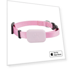 Smart Pet Locator Collar — Trackers, Fi