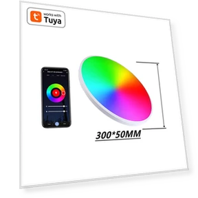 Smart WiFi Ceiling Light — Overhead Lighting, COOKING-MALL