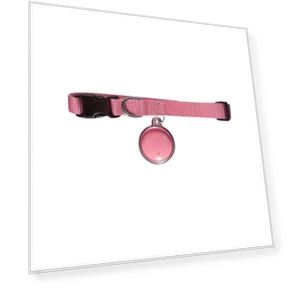 GPS Pet Collar — Trackers, Clothing kaleidoscope