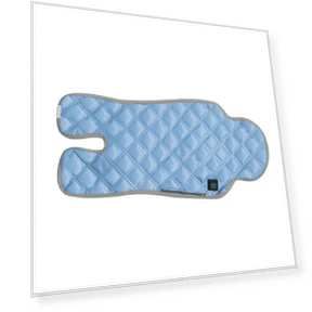 Heated Cushion for Stroller and Car Seat — Thermal Comfort Solutions, Smart Mouse