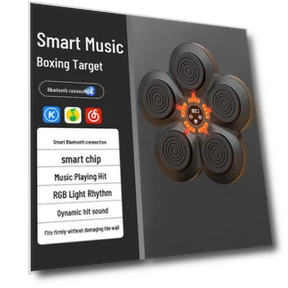 Smart Home Boxing Target — Double-End Bags, SportSurge