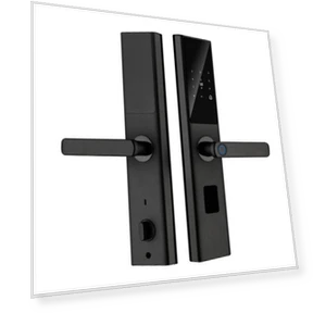 Smart Lock with Fingerprint and Password — Electromagnetic Security Locks, Tuya